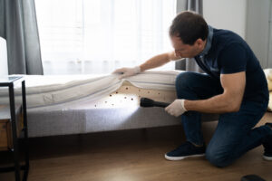 man lifting up a mattress and finding bed bugs underneath
